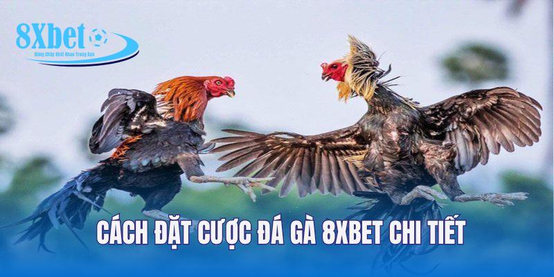 3 cửa cược đá gà với tỷ lệ ăn thưởng siêu cao