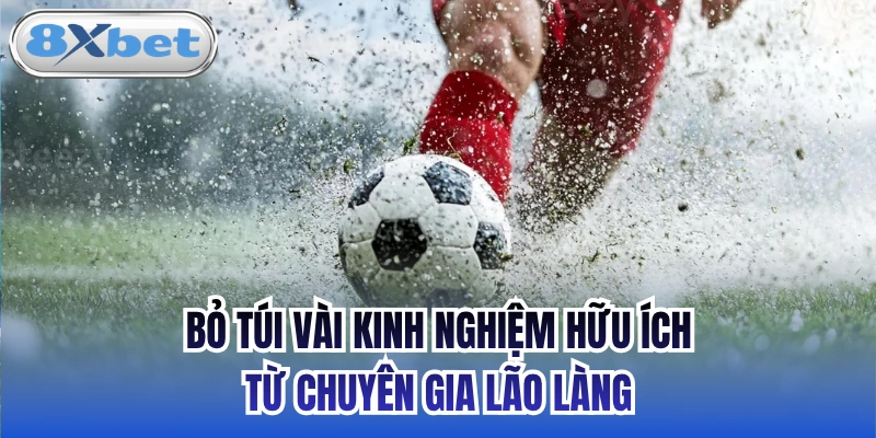 Bỏ túi vài kinh nghiệm hữu ích từ chuyên gia lão làng