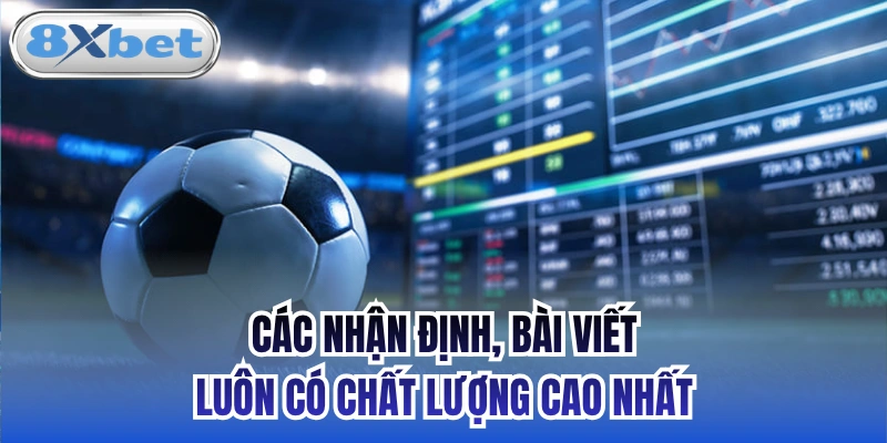 Các nhận định, bài viết luôn có chất lượng cao nhất