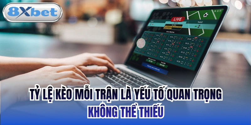 Tỷ lệ kèo mỗi trận là yếu tố quan trọng không thể thiếu